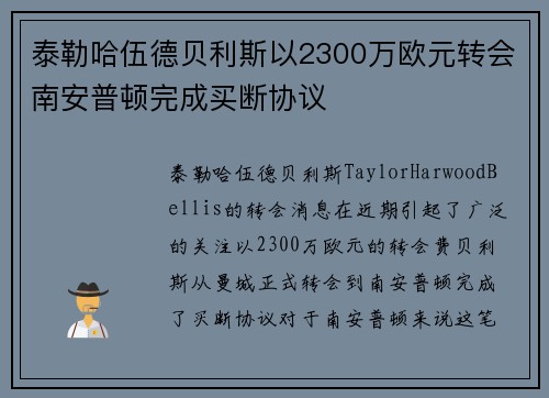 泰勒哈伍德贝利斯以2300万欧元转会南安普顿完成买断协议